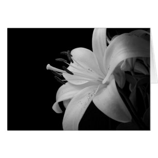 black and white photo