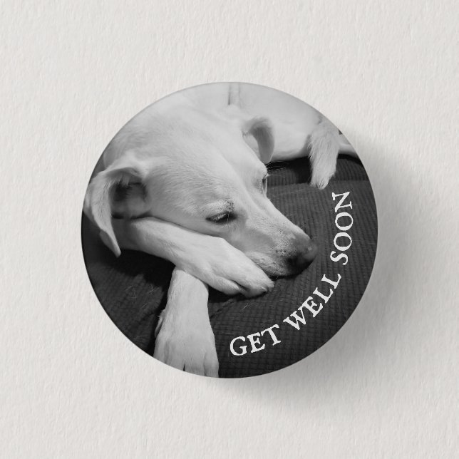 Black and White Photo of a Beautiful Dog Sleeping 3 Cm Round Badge (Front)