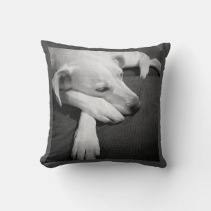 Black and White Photo of a Beautiful Dog Sleeping Cushion