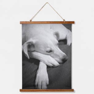 Black and White Photo of a Beautiful Dog Sleeping Hanging Tapestry