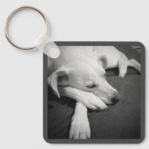 Black and White Photo of a Beautiful Dog Sleeping Key Ring