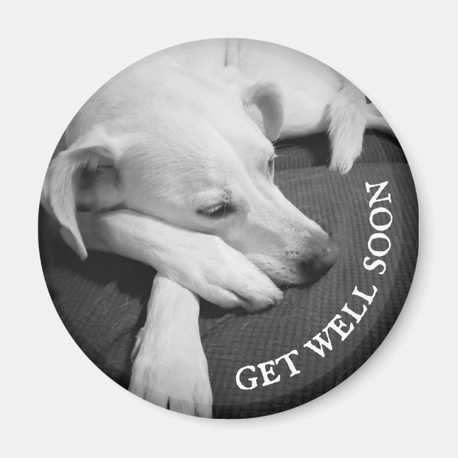 Black and White Photo of a Beautiful Dog Sleeping Magnet (Front)