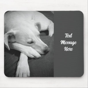 Black and White Photo of a Beautiful Dog Sleeping Mouse Pad