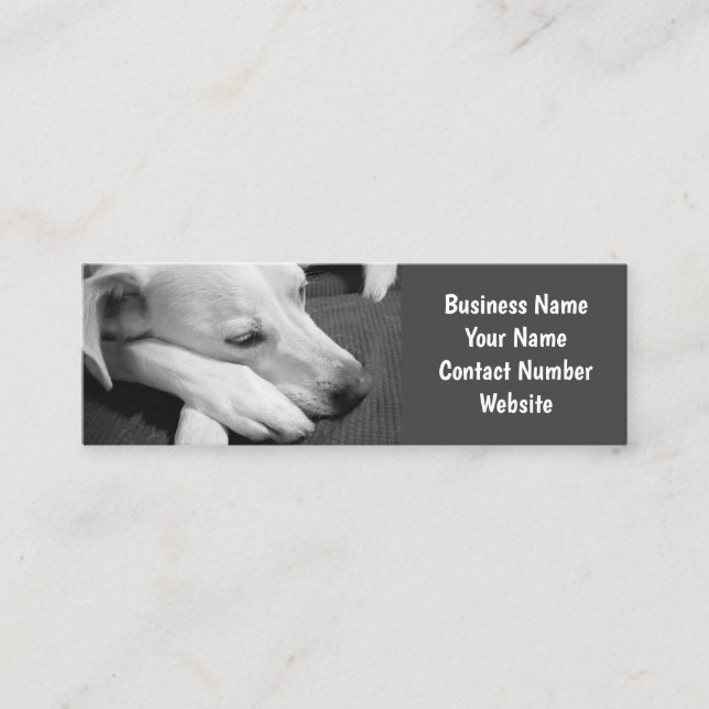 Black and White Photo of a Dog Sleeping Simple Mini Business Card (Front)