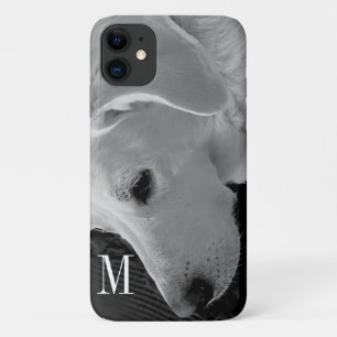 Black and White Photo of Beautiful White Dog Case-Mate iPhone Case