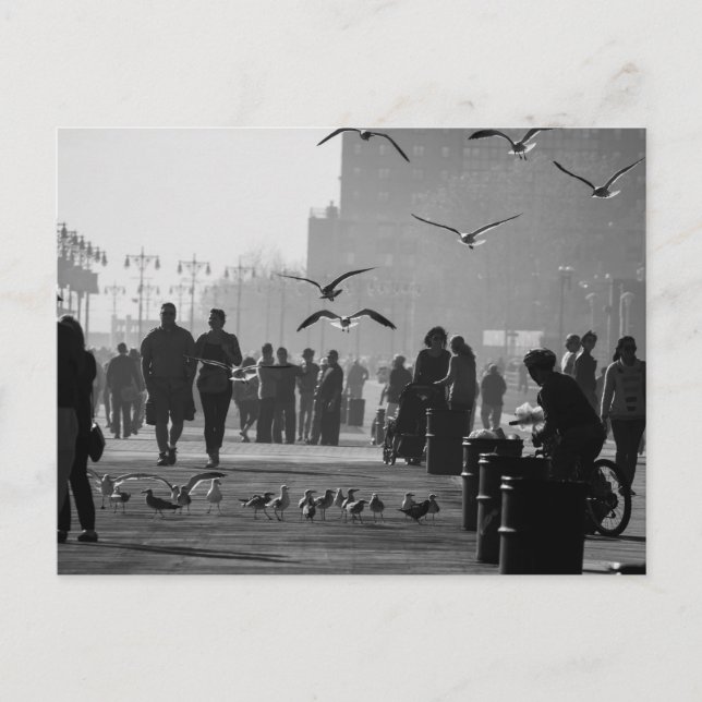 Black and White Photo of Coney Island Boardwalk Postcard (Front)