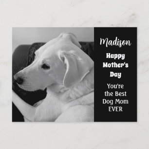 Black and White Photo of Cute Dog Mother's Day Holiday Postcard