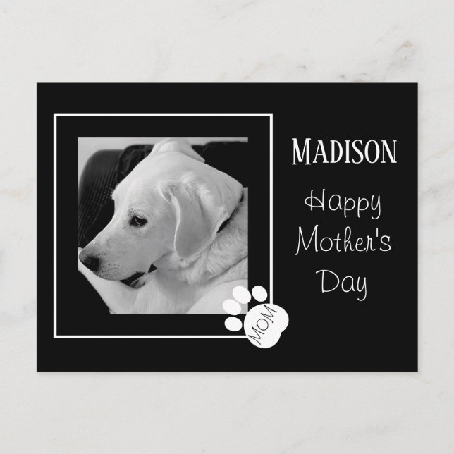 Black and White Photo of Cute Dog Mother's Day Holiday Postcard (Front)