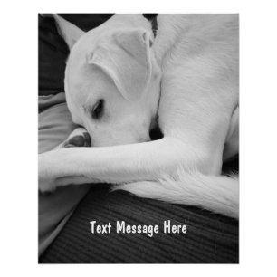 Black and White Photo of Cute Dog Resting with Dad Poster
