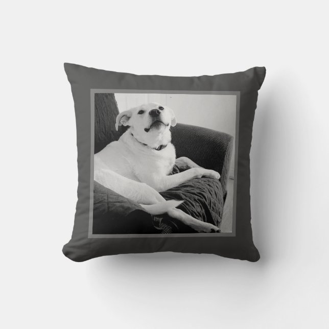 Black and White Photo of Talking Dog Grey Cushion (Front)