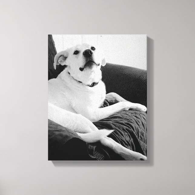 Black and White Photo of Talking Dog Print (Front)