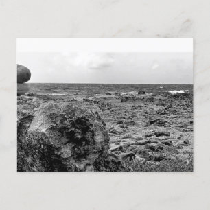 Black and White, Photograph, Standard Postcard