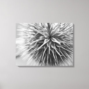 Black and white photography floral canvas print