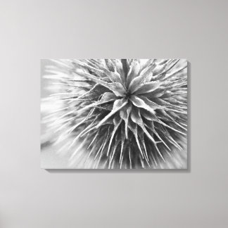 Black and white photography floral canvas print