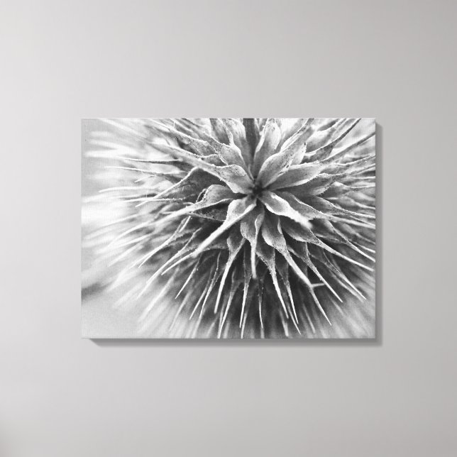 Black and white photography floral canvas print (Front)