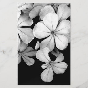 black and white Plumbago Stationery