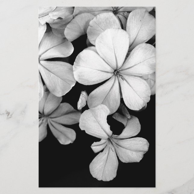 black and white Plumbago Stationery (Front)