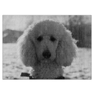 Black and White Poodle Face Puppy Eyes Cutting Board