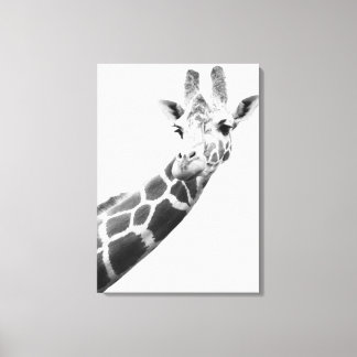Black and white portrait of a giraffe canvas print