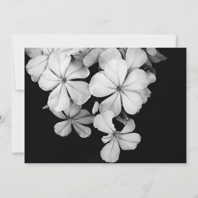 Black and White Postcard Design (Front)