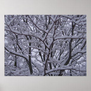 Black and White Poster