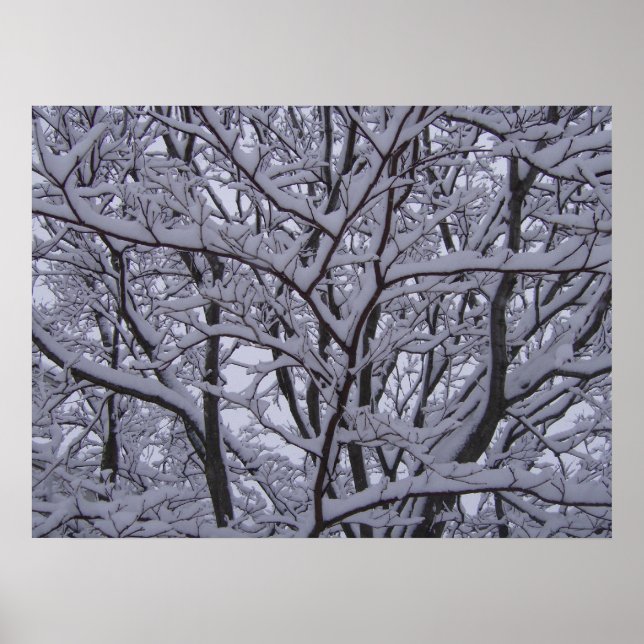 Black and White Poster (Front)