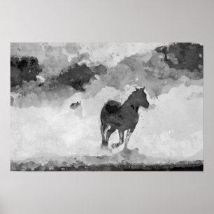 Black and White Print, Value Poster Paper (Matte)
