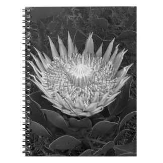 Black and white Protea notebook
