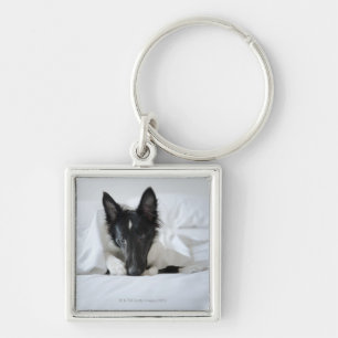 Black and white puppy in  bed with bone key ring