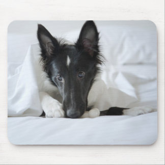 Black and white puppy in bed with bone mouse pad