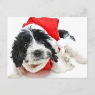 Black and white puppy wearing Santa outfit Holiday Postcard