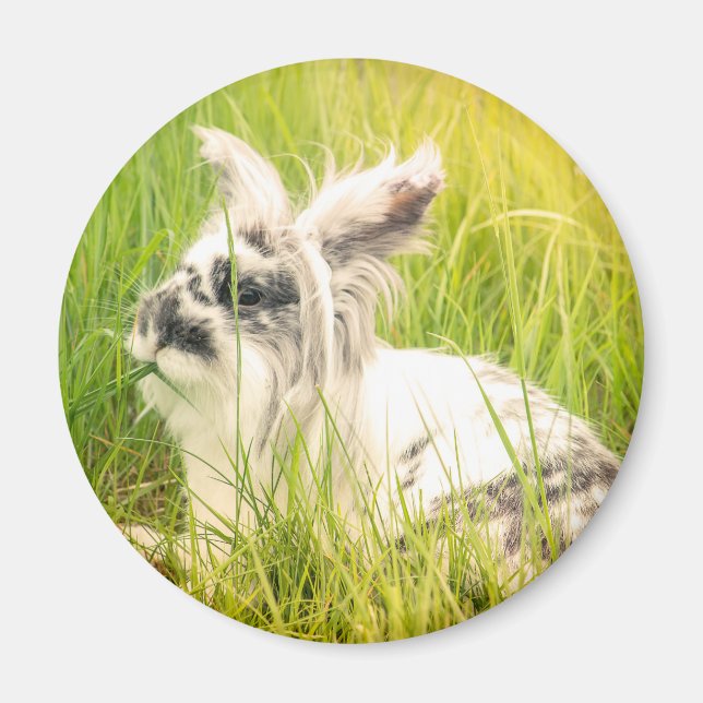 Black and white rabbit magnet (Front)