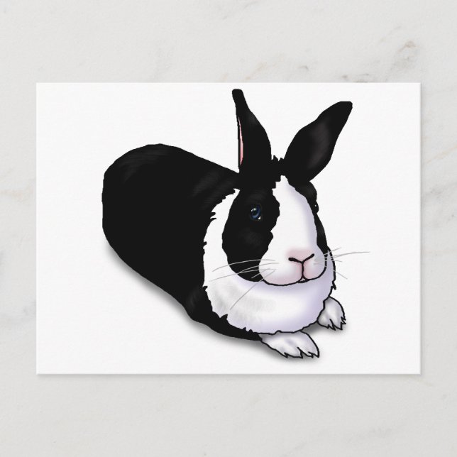 Black and White Rabbit Postcard (Front)