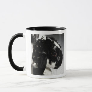 Black and white rabbit with studded collar mug