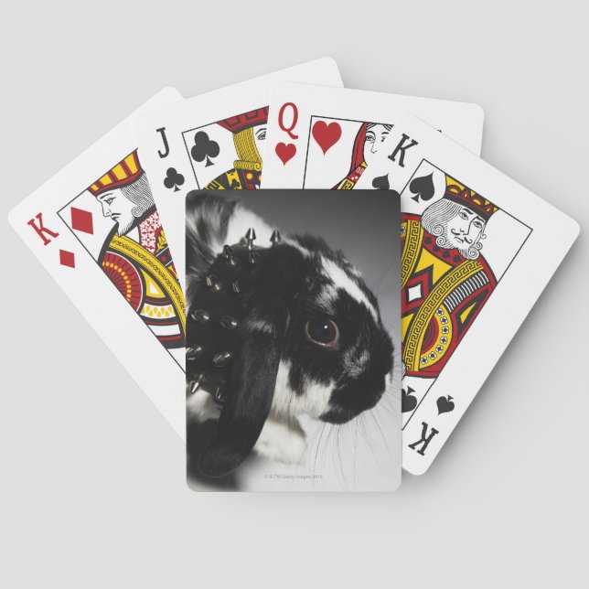 Black and white rabbit with studded collar playing cards (Back)