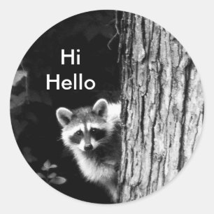 Black and White Racoon in Tree Wildlife Sticker