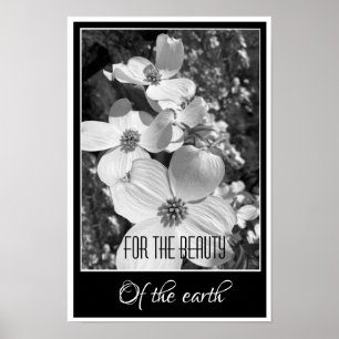 Black and White Reflections For the Beauty Poster