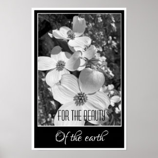 Black and White Reflections For the Beauty Poster