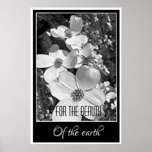 Black and White Reflections For the Beauty Poster (Front)