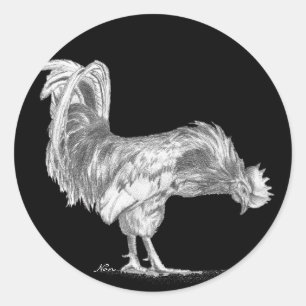 Black and White Rooster stickers