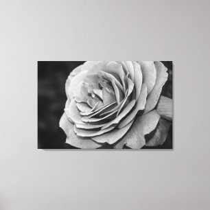 Black and White Rose Canvas Print