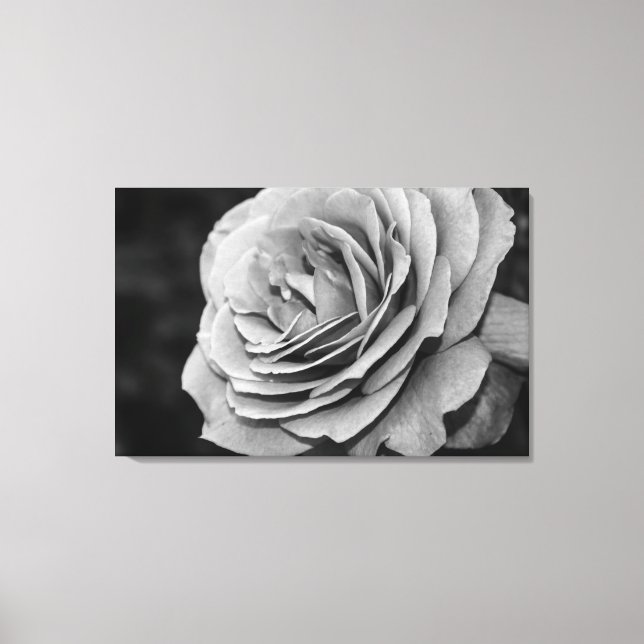 Black and White Rose Canvas Print (Front)