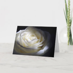 Black and White Rose Card