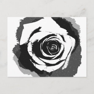 Black and white rose graphic postcard