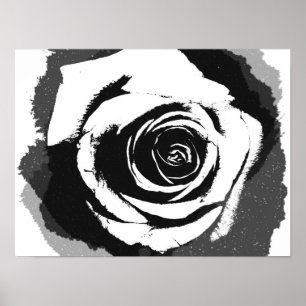 Black and white rose graphic poster