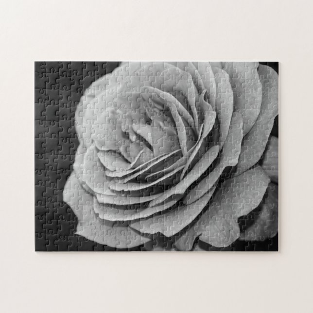 Black and White Rose Jigsaw Puzzle (Horizontal)