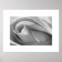 Black and White Rose Poster Poster Print