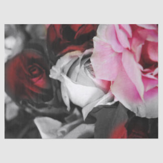 Black and White Roses Fade Tissue Paper