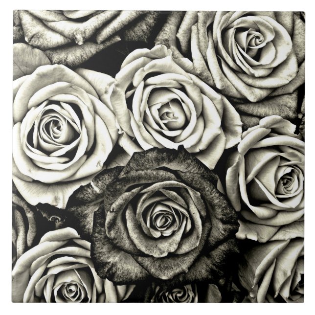 Black and White Roses Tile (Front)