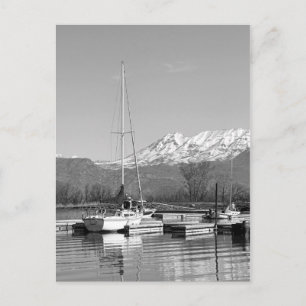 Black And White Sailboats On Lake Photograph Postcard